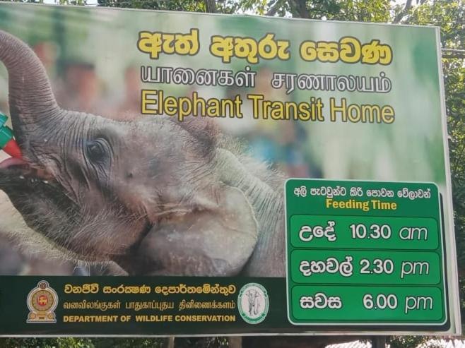 Udawalawe Wildlife & Nature Protection Bungalow Экстерьер фото