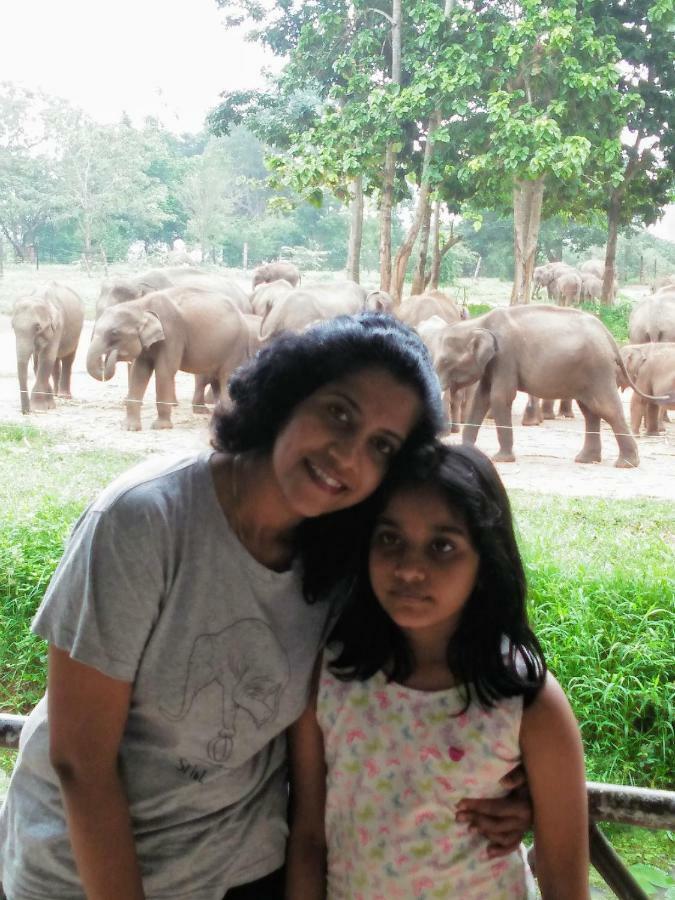 Udawalawe Wildlife & Nature Protection Bungalow Экстерьер фото